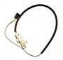 Backup Light Switch Assembly, Manual Trans. 